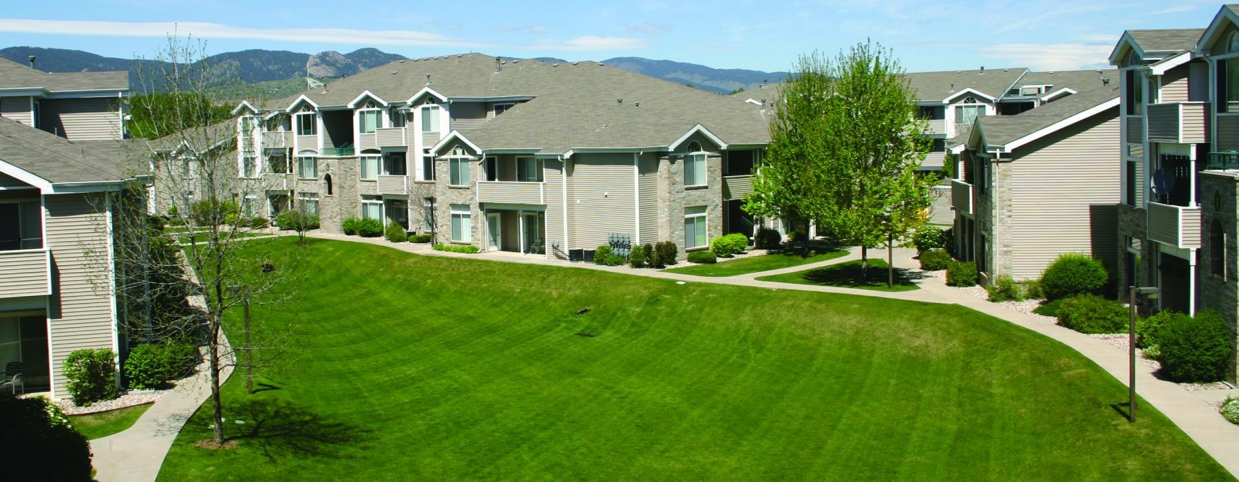 a large green lawn in front of a row of houses